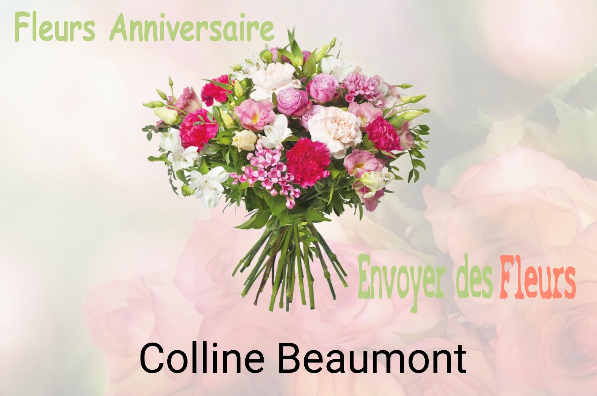 Bouquet de fleurs d’anniversaire livré à Colline-Beaumont