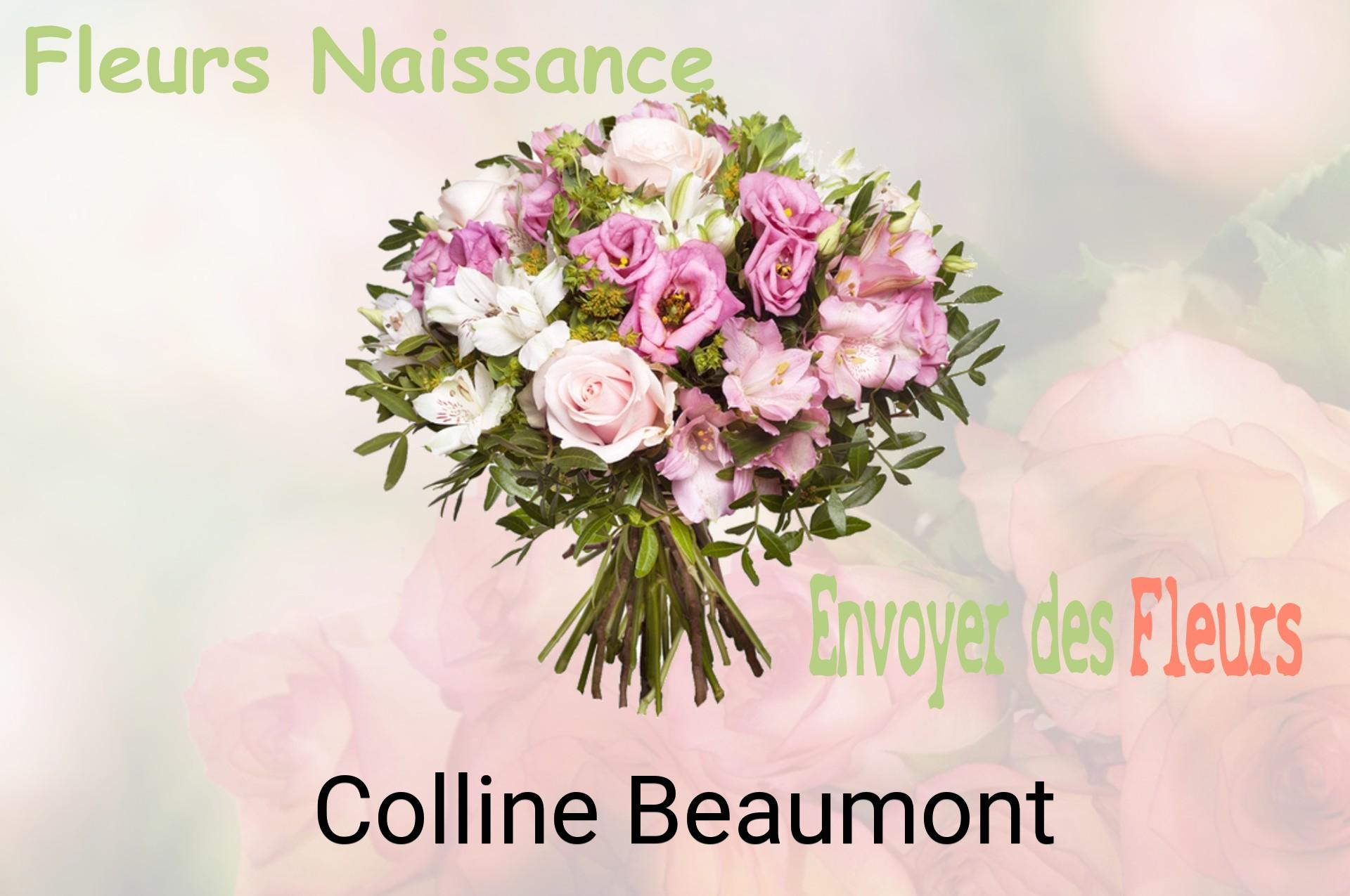 Bouquet de fleurs de naissance livré à Colline-Beaumont