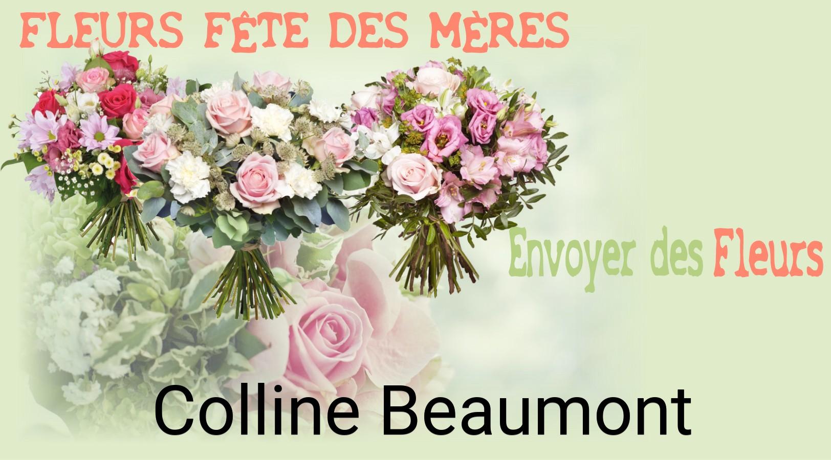 Bouquet de Fête des Mères livré à Colline-Beaumont