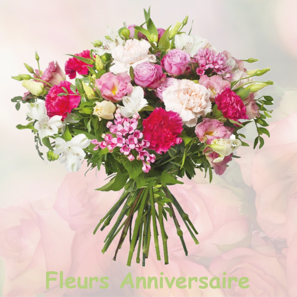 fleurs anniversaire COLLINE-BEAUMONT